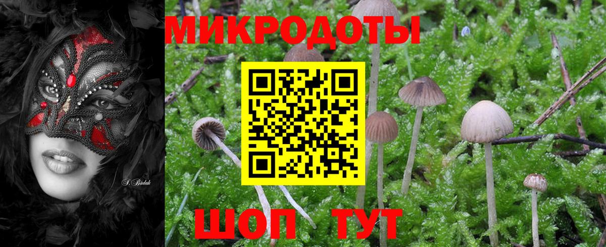 Галлюциногенные грибы прущие грибы  Вход с VPN  Междуреченск 